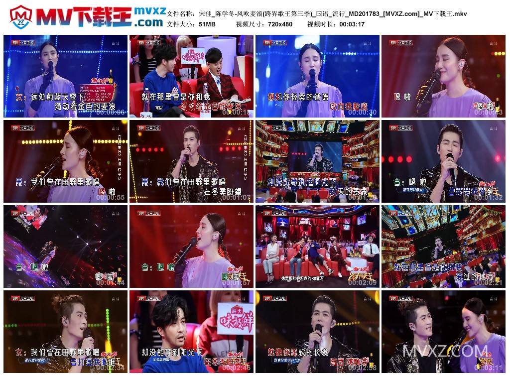 宋佳_陈学冬-风吹麦浪(跨界歌王第三季)_国语_流行_MD201783